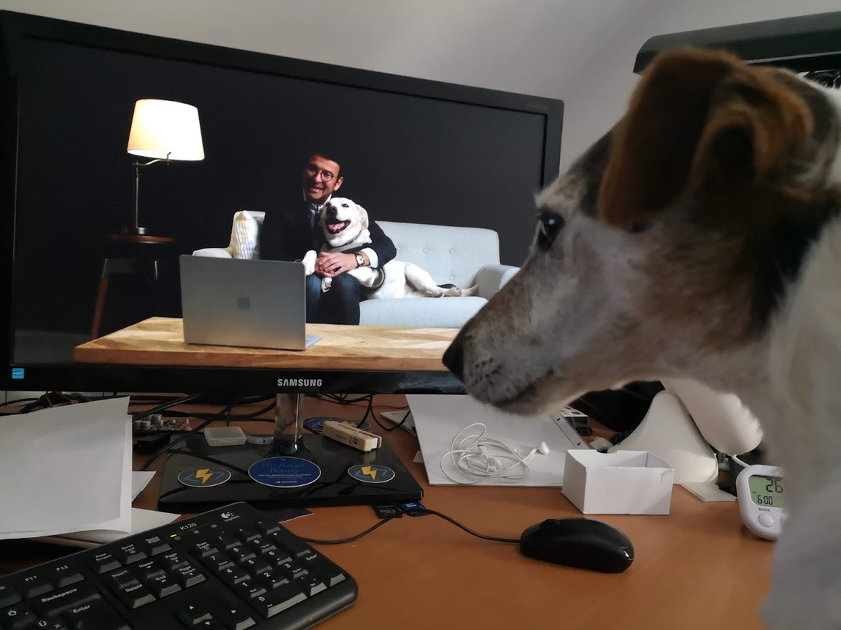 hobpet's tweet photo. @judsonalthoff We are watching you!
Did not expect that #MSInspire is not just from me, but for my old dog, Frida. :) https://t.co/cNZ6mrYQMT