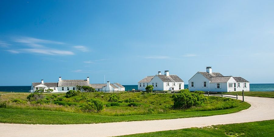 Does Art Need Cities to Survive?