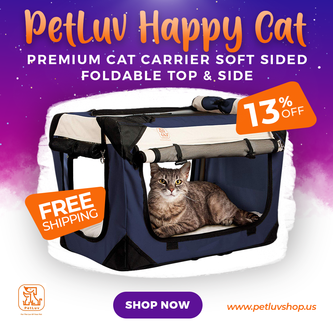 bstudio360's tweet photo. Social Media Ads For Petluvshop | Happycat

#facebookbanner

#bannerads

#socialmediabanner

#webbannerads

#facebookimage

https://t.co/7vWJhByoKW https://t.co/q0aEm9Kj2K