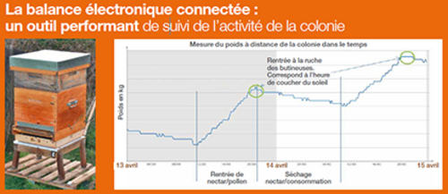 DesherbageBayer's tweet photo. 🌱 [#AgricultureDurable] 🐝
🤓 La balance électronique connectée, kezako ❓👀

Depuis 5️⃣ ans, @Bayer_FR réalise des suivis de #ruchers à l’aide de ces balances. Elles enregistrent, en temps réel, le poids des ruches durant toute la saison apicole.  ⤵️

🔗 https://t.co/DdxsZaqrJO https://t.co/bhA5VuaZ3u