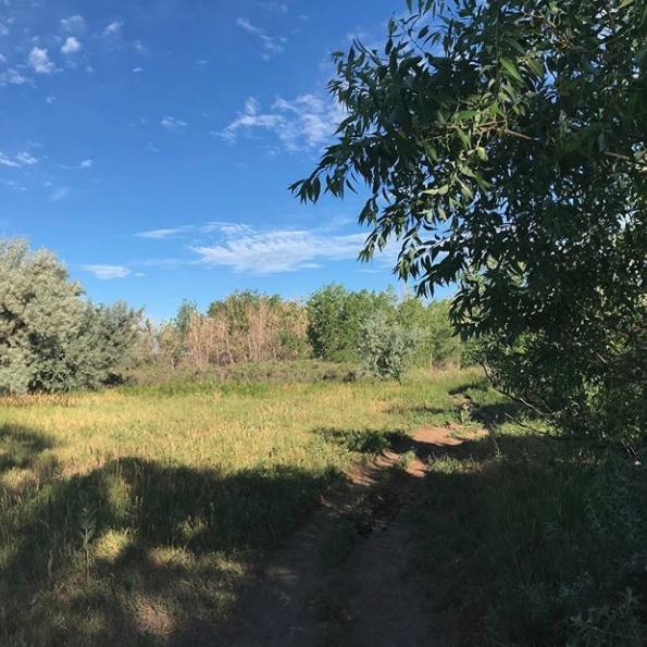 rich_runs's tweet photo. Cooler this morning. Actually got to begin a run with the temp below 65. Got in 7 miles in the park and still can’t get over the high numbers of people out running, walking, biking. Good for you all!
#run #trailrunning #trailrunner #dowhatyoulove #maybetheyllstickwithit #grateful https://t.co/fIp960NXEn