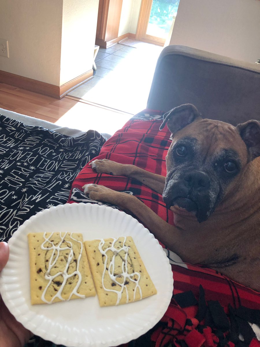 OrlowskiSarah's tweet photo. Hi friends. Roxy is crossing the🌈bridge a little later today and will join her big sis JoJo and so many other GREAT dogs. She had a great long life and I already miss her more than words can say💔😭She filled our hearts with so much love. Rest easy sweet girl. I love you❤️ https://t.co/doY9oPUTK3