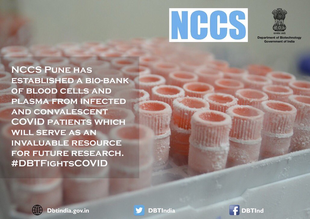 ParishadN's tweet photo. .@DBT_NCCS_Pune has established a bio-bank of blood cells and plasma from infected and convalescent #COVID19 patients which will serve as an invaluable resource for future #research. #DBTFightsCOVID https://t.co/VfLBFhvhMp
