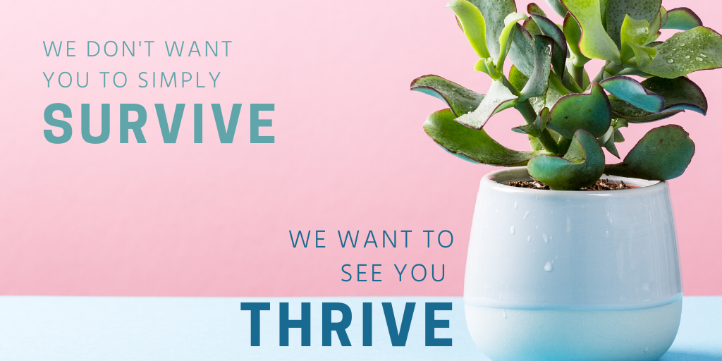 SignatureAcctg's tweet photo. How is your #business doing? 

Some businesses have been doing better than expected. If your company is thriving in sales, we encourage you to start planning for the future. 

For proactive tips, read our post and lean on our team to help you form a plan. 
https://t.co/fDJkmIskVs https://t.co/nS8xkyB0S4