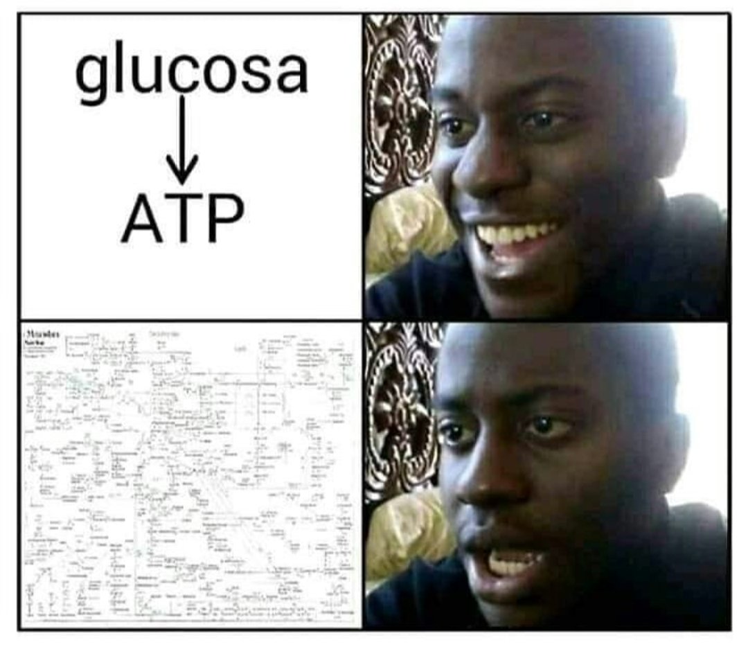 bio_geeks's tweet photo. Follow @bio_geeks for more fun &amp; creative information posts! 
.
#biogeeks #biology #biotechnology #biotech #lifesciences #microbiology #biochemistry #science #sciencefiction #sciencememes #biologymemes #biotechnologymemes #biochemistrymemes #research #researcher #scientist https://t.co/X3YoNIY1tf