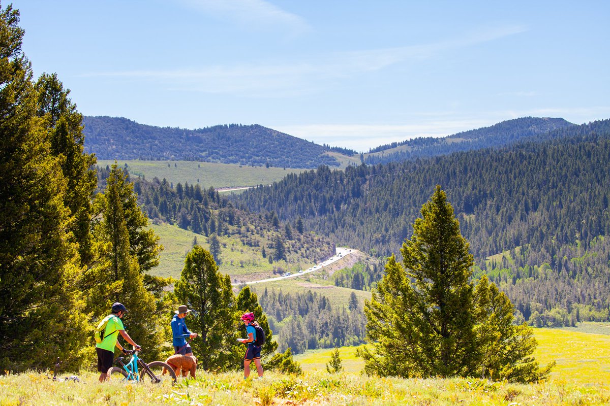 skithebeav's tweet photo. Are you ready to MTB Race The Beav? The race is on August 1st: For more info and to register NOW at https://t.co/Te4MVbkycP
-
#MTB MTBrace #BIKEtheBEAV #MTButah #mountainbike #RACE https://t.co/jhX7ueaHk4