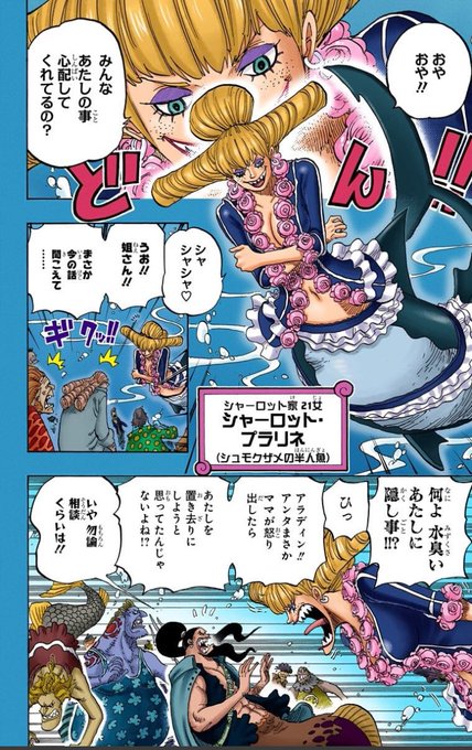 ワンピース アラディンの能力や懸賞金を調査 ビッグ マムやジンベエとの関係とは 5ページ目 Selvy