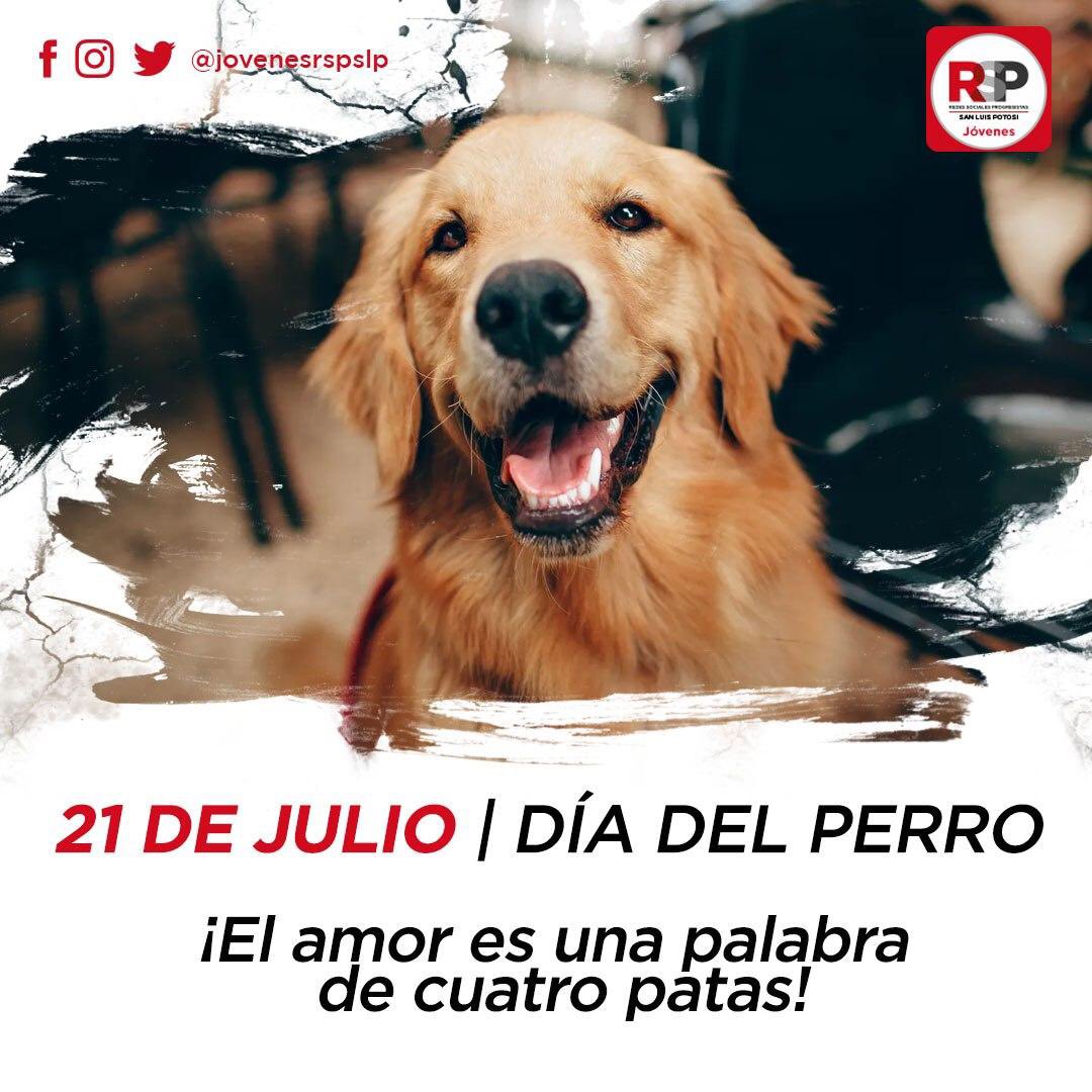 Hoy es día del mejor amigo del hombre, de aquel que a pesar de no conocerte ya te ama incondicionalmente. 
❤️🐶