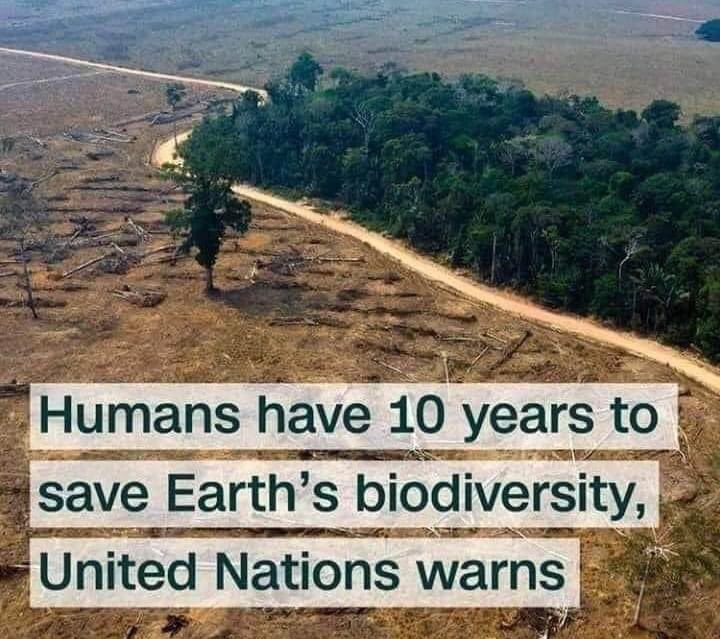 Act now before it gets too late. SAVE EARTH 🌍 SAVE LIFE 🌳 🌱 #ActOnClimate #biodiversity #ClimateChange #climate #Climatesustainability #naturelover
@ACCIONPLANETA 🌱