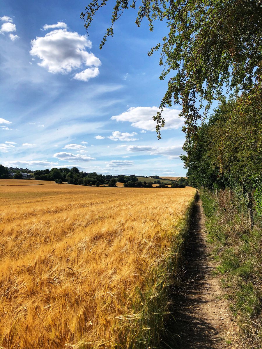 EArnottBooks's tweet photo. Back to the routine of walking-writing-walking-writing ✍️ #amwriting https://t.co/BPqWb2hUQR