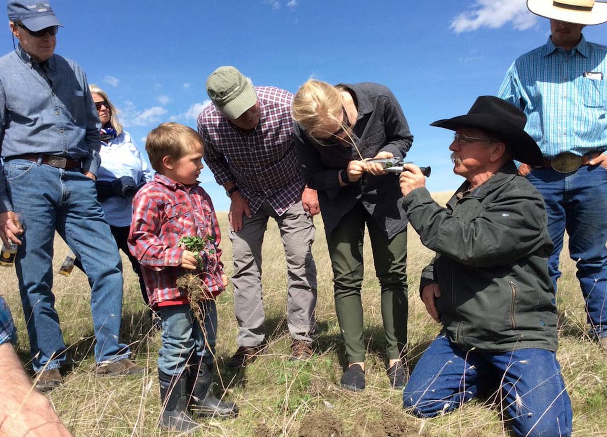 wsemt's tweet photo. By working together, ranchers and Western Sustainability Exchange are finding ways to preserve this rare and beautiful place called Montana. Thanks for Giving a Hoot to help protect this place we all love. https://t.co/rmWBXf7R8R
#GiveAHoot49 #wsemt #regenerativeranching https://t.co/MXIQP76hmQ