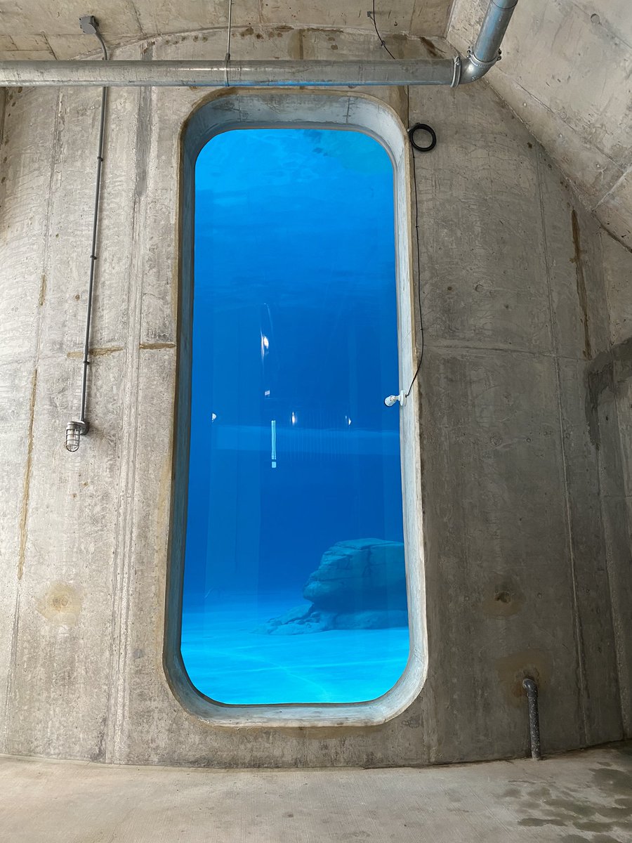 VisitSPC's tweet photo. BIG day today for @CMAquarium as Nicholas and Hemingway were moved into the brand new Ruth and J.O. Stone Dolphin Complex this morning! Guests are now able to watch as Nick and Hemi explore the new 1.5 million gallon habitat! Check it out! ❤️🐬 #CMAquarium https://t.co/ZiIfJO5vnF