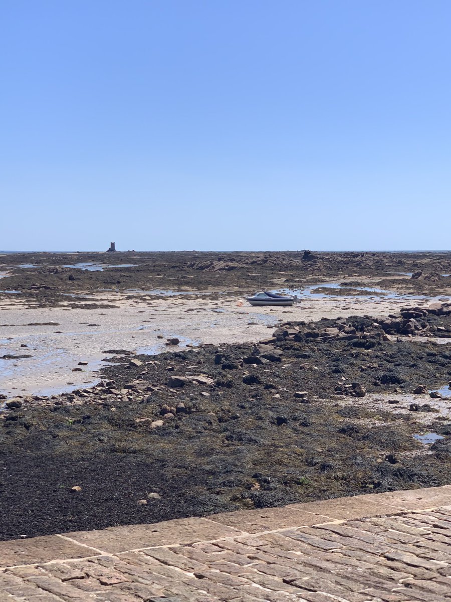 Mrsmchwea's tweet photo. Today I walked out to Seymour tower, swam in the sea at Gorey and went to yoga in the park #day3 #slimmingjourney https://t.co/izTnOFRx88
