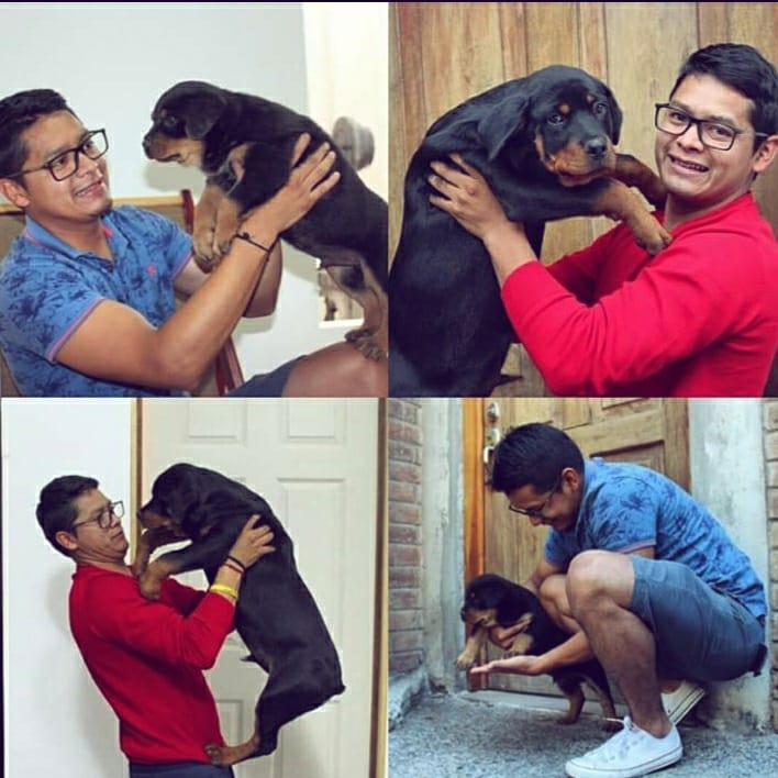 jorlnerio's tweet photo. #DiaDelPerro https://t.co/EvEQFiml5p