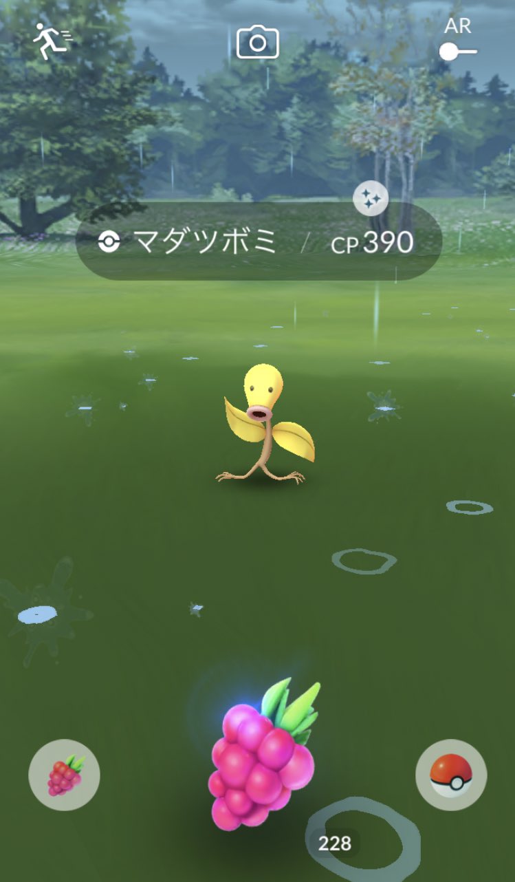 いいぬま A Twitter 朝一光った ポケモンgo マダツボミ 色違い T Co 3v3r86jrkc Twitter