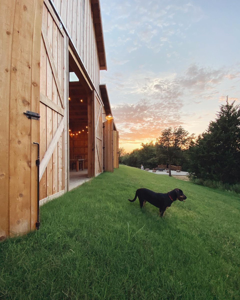 therangeresort's tweet photo. Pets are always welcome at #TheRangeResort! #Dogfriendly #camping #glamping #Airstream #vintagetrailer #TexasToDo #Travel #Petfriendly #Welovedogs https://t.co/qpX9j0uKuM