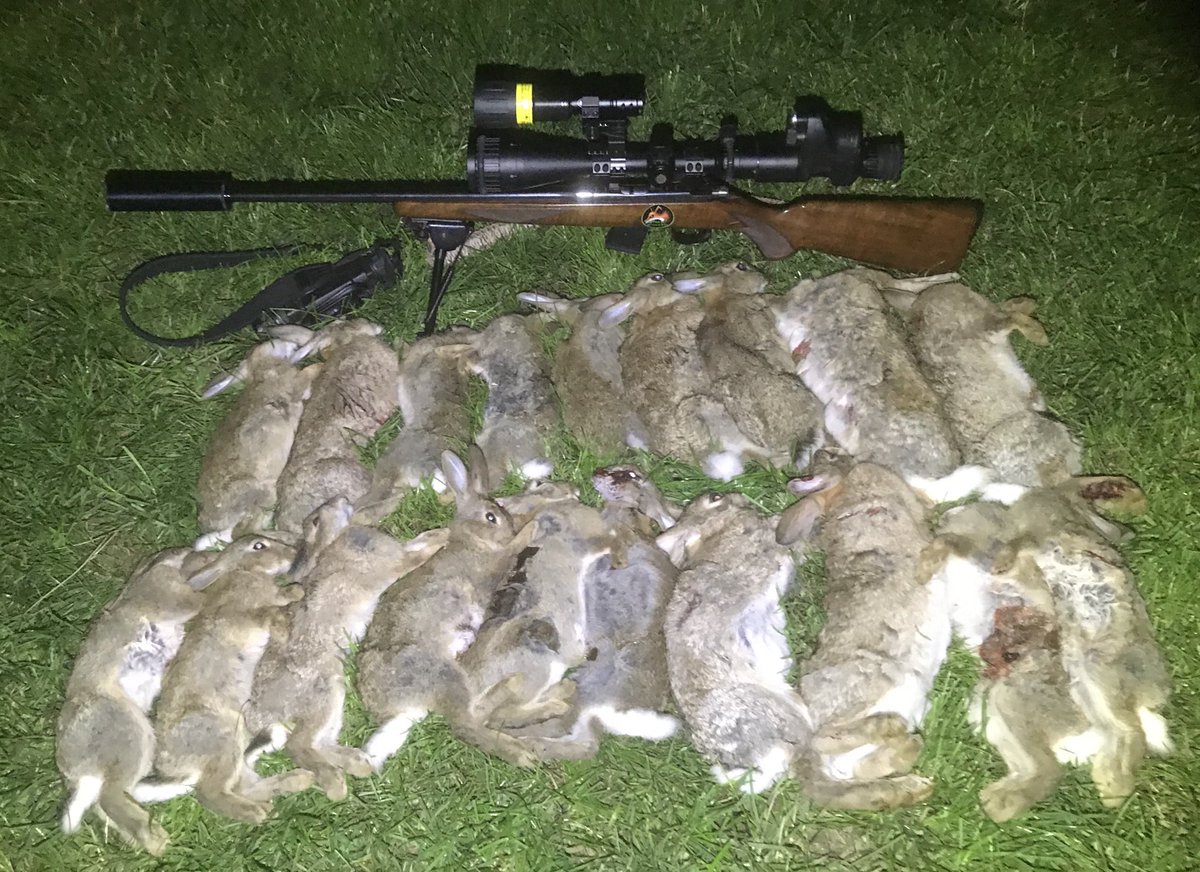 Nice couple of hours out, tucking up some bunnies👌

.17 HMR CZ452 x Hawke Vantage Scope x Pard007 x PBIR_L x XQ38f Thermal making a lethal combo 😁
