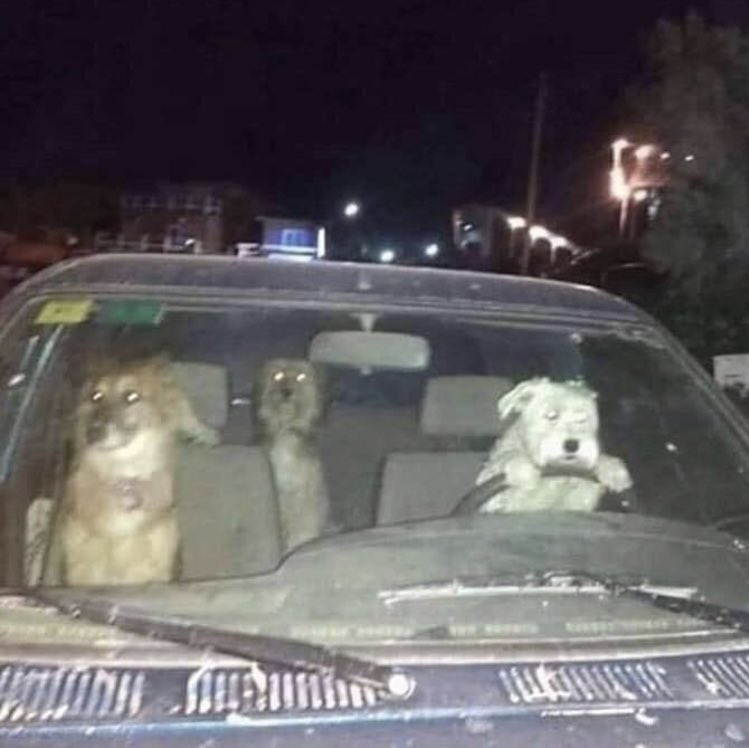 DMbuttstuff's tweet photo. me and the boys on our way to get baja blast freezes https://t.co/sQtsSOIboP