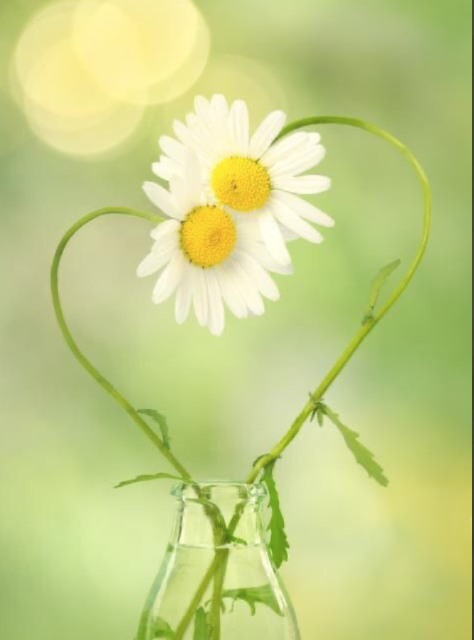 InfinityCoachi4's tweet image. Are You Wanting to #Build an Impactful #Legacy by #EmpoweringOthers?
Ever wished you were able to press the ‘RESET’ button?
Take away someone’s #suffering &amp;amp; help them see the #beautifulworld that is?
If you have ever had #thatfeeling then this is for YOU!
infinitycoaching.co