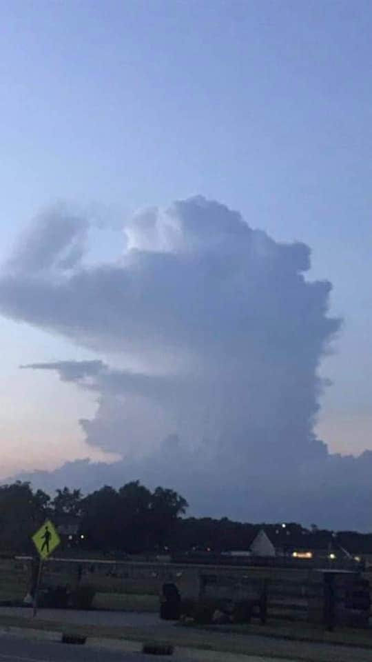 Gators Daily 🐊 tweet media