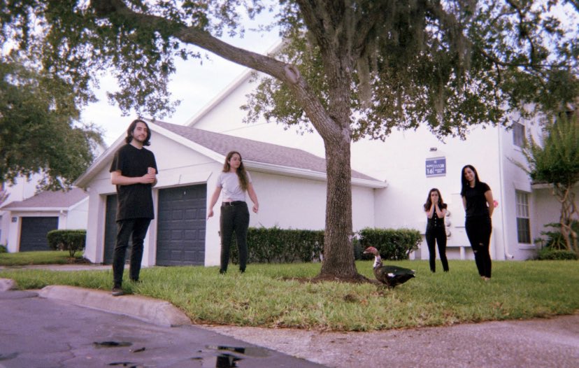 ~BOSTON MARRIAGE~From Orlando, FL(this + last post suggested by  @popgoesthenella :D)