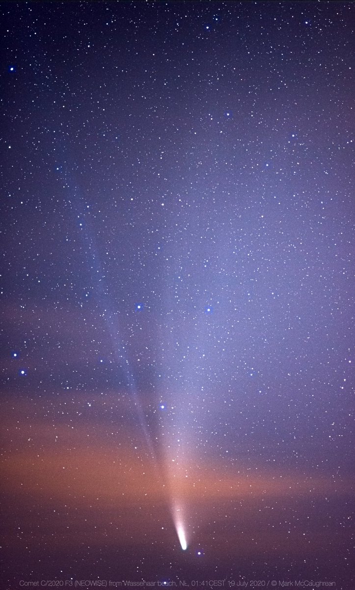 In pictures like this  we see two tails of  #cometNEOWISE: a white dust tail that curves away from the Sun & trails the comet's motion a blue plasma tail, a result of the ionisation of gases, which always points straight away from the Sun. @markmccaughrean, 19 July 2020
