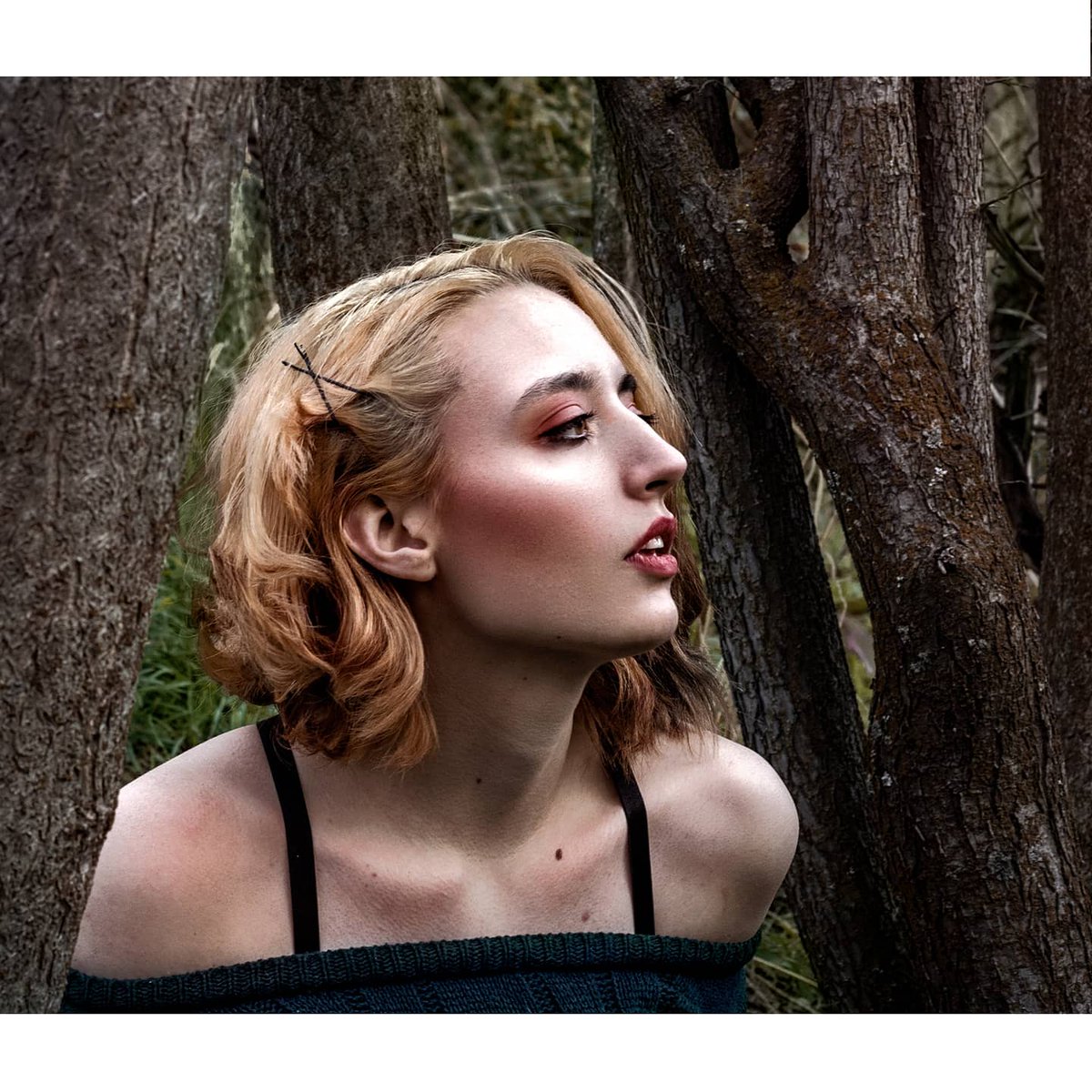 AshleyBoydPhoto's tweet photo. You Know whats Great About Yhe Woods? Theres So Many Different Ways To Look At Them.♡ #Portraitphotography #Utahphotographer https://t.co/Qs3S5SLOoO