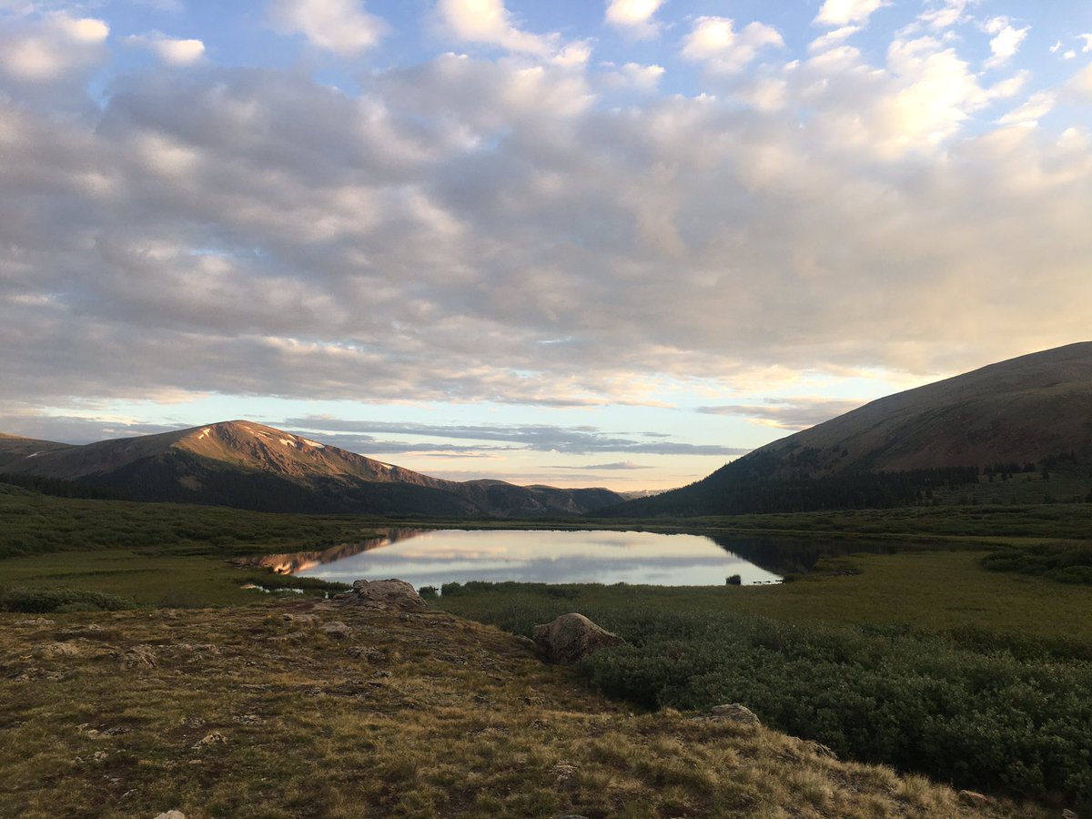 Scott Murphy tweet media