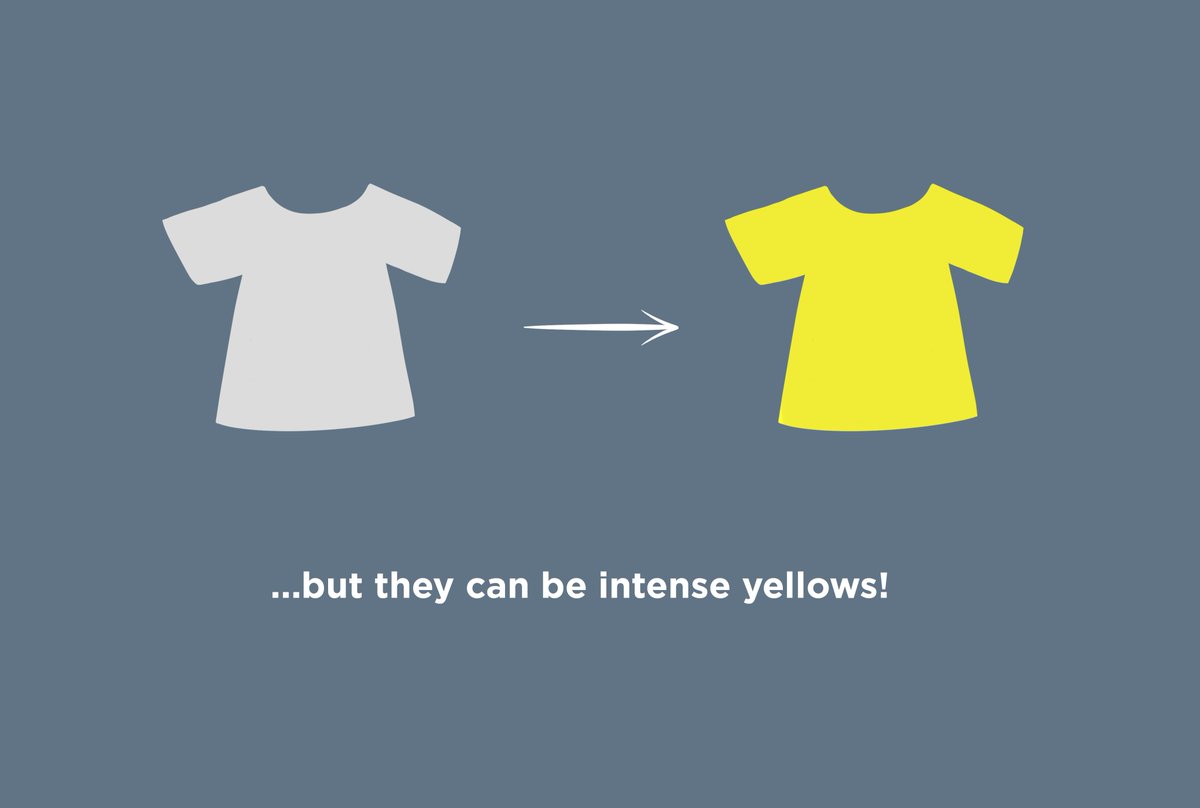 Say we have a greyscale image, and we want to make a light value T-shirt a deep blue. It will always look pale and pastel. A b/w image is suggesting possible colors. A color image already has all of the values defined. This is the way that colors and values relate to each other.