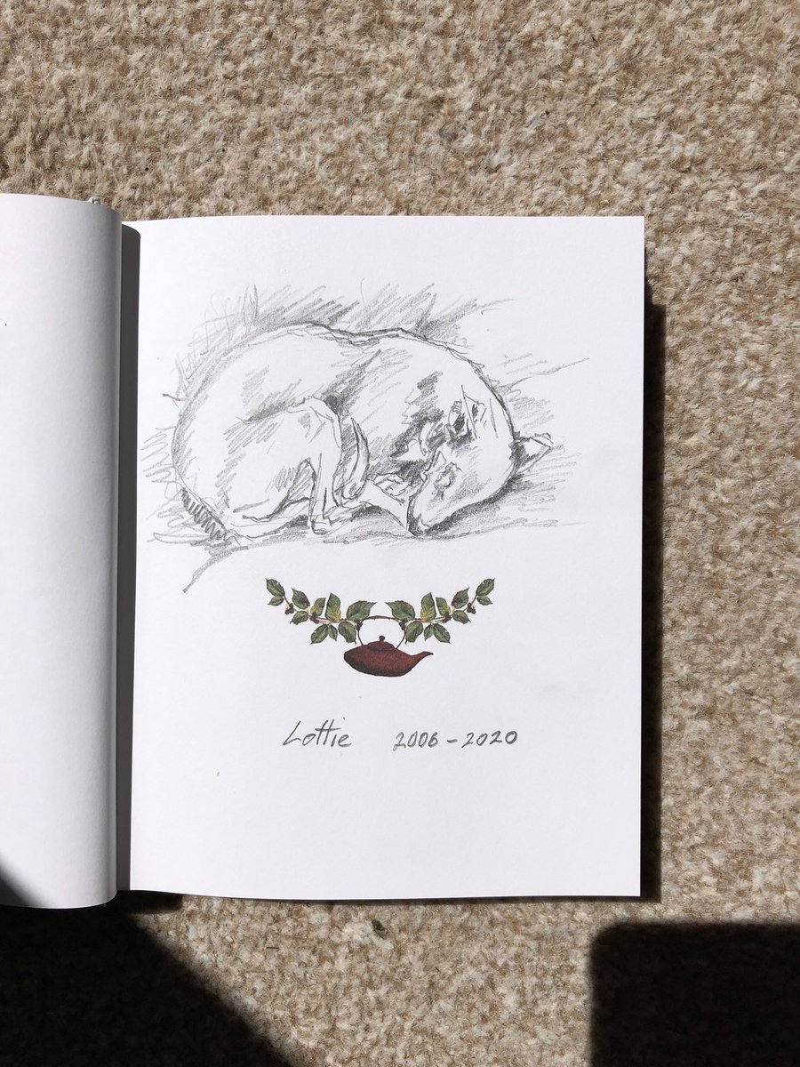 Fiona Thomson tweet media