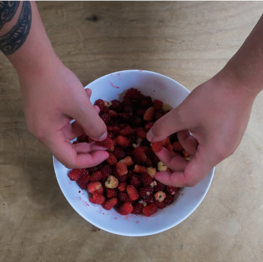 SprawlKitchen's tweet image. Some of the spoils from today's #Tayberry pick... with a couple of yellow raspberries thrown in for good measure!