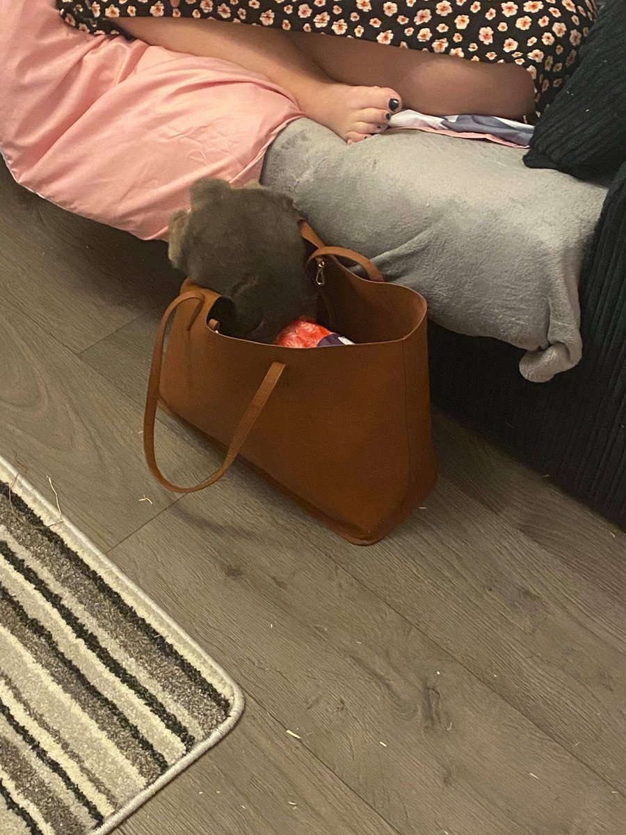 BunnieLiam's tweet photo. I don’t normally have people round! This is why... #rabbit #rabbitissues #stealing #handbag #fluffy #LiamGallagher https://t.co/bzKtMLVm54