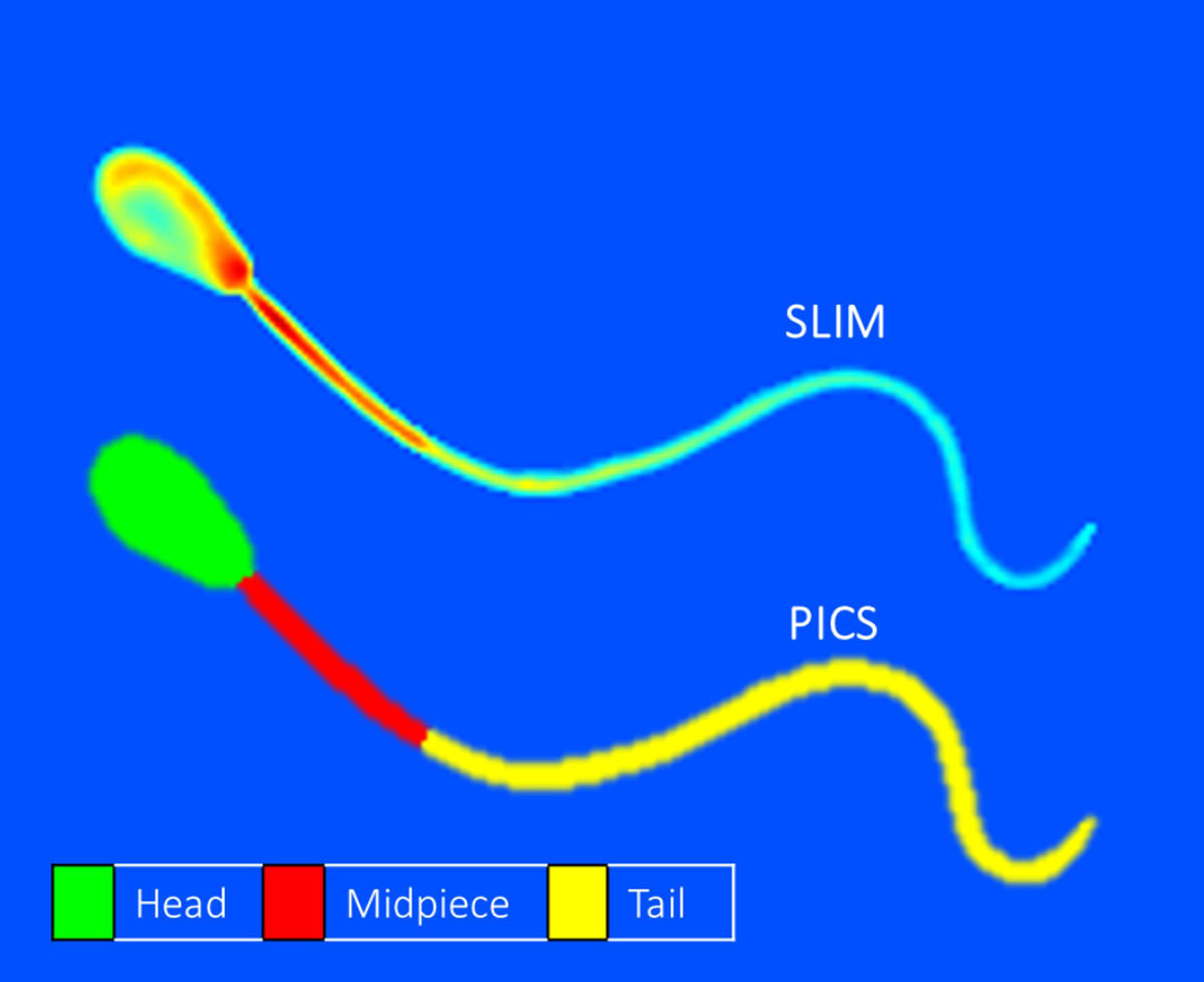 Popescu Lab tweet media