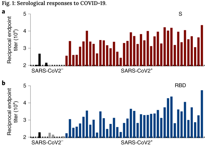 mmw_lmw's tweet photo. #RecoveredPatients with #COVID19 | Humoral and circulating #FollicularHelper T cell responses | Adam Wheatley @TheDohertyInst @NatureMedicine https://t.co/dJq8wjeeOQ https://t.co/0tkl2bn0DC