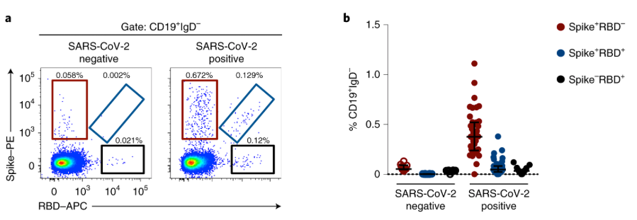 mmw_lmw's tweet photo. #RecoveredPatients with #COVID19 | Humoral and circulating #FollicularHelper T cell responses | Adam Wheatley @TheDohertyInst @NatureMedicine https://t.co/dJq8wjeeOQ https://t.co/0tkl2bn0DC