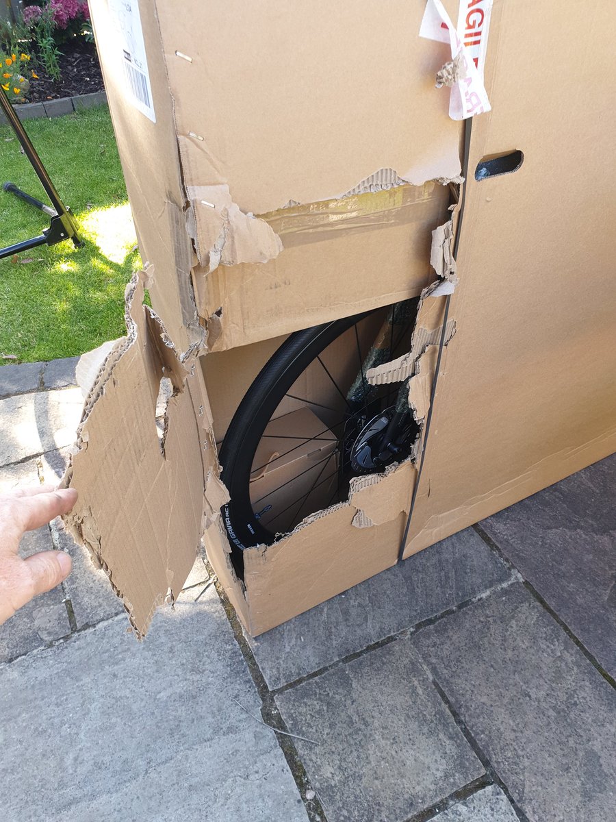 JAMES KING tweet media