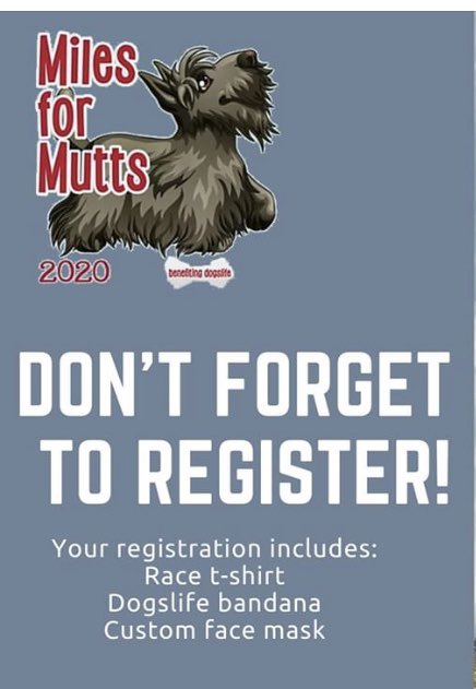 dogslifeorg's tweet photo. Only one week left to register for the 2020 #MilesforMutts fun run and 5k! For $25, you get a race t-shirt, doggie bandana and a custom face mask. Donβt miss out! https://t.co/6WLaV3hgh6
#dogsoftwitter #saveadogslife #5k #petlovers https://t.co/Qqn22fOsun