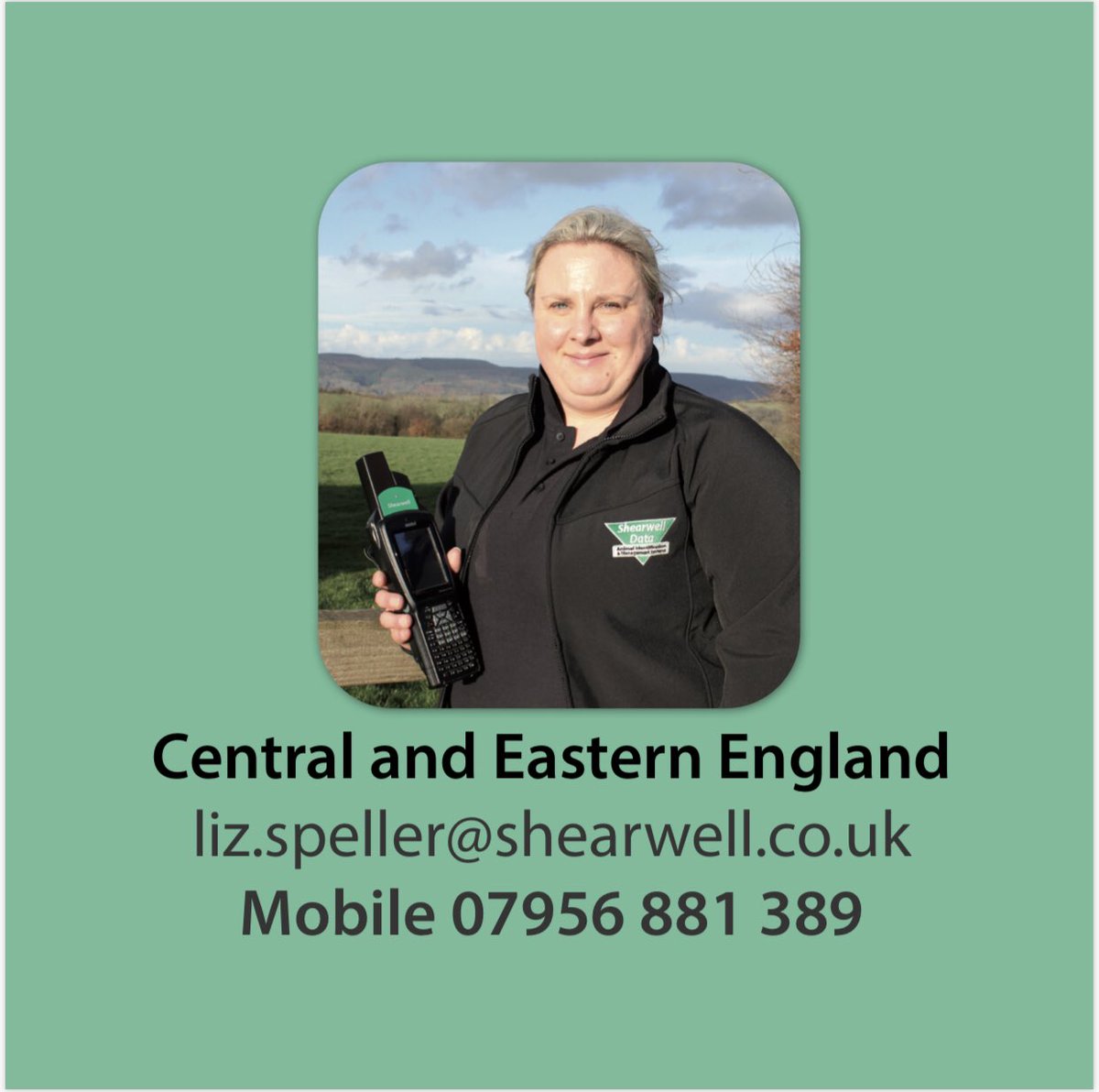 Shearwell's tweet photo. A few ewe &amp; lamb sales coming up in @liz_speller area, if you need to get a tag order in please give her a shout 📞 📧 🐑 #Thrapston #Hailsham #Louth #OffToMarket @McCartneysLLP @MeltonLivestock https://t.co/fNngmnYRw3