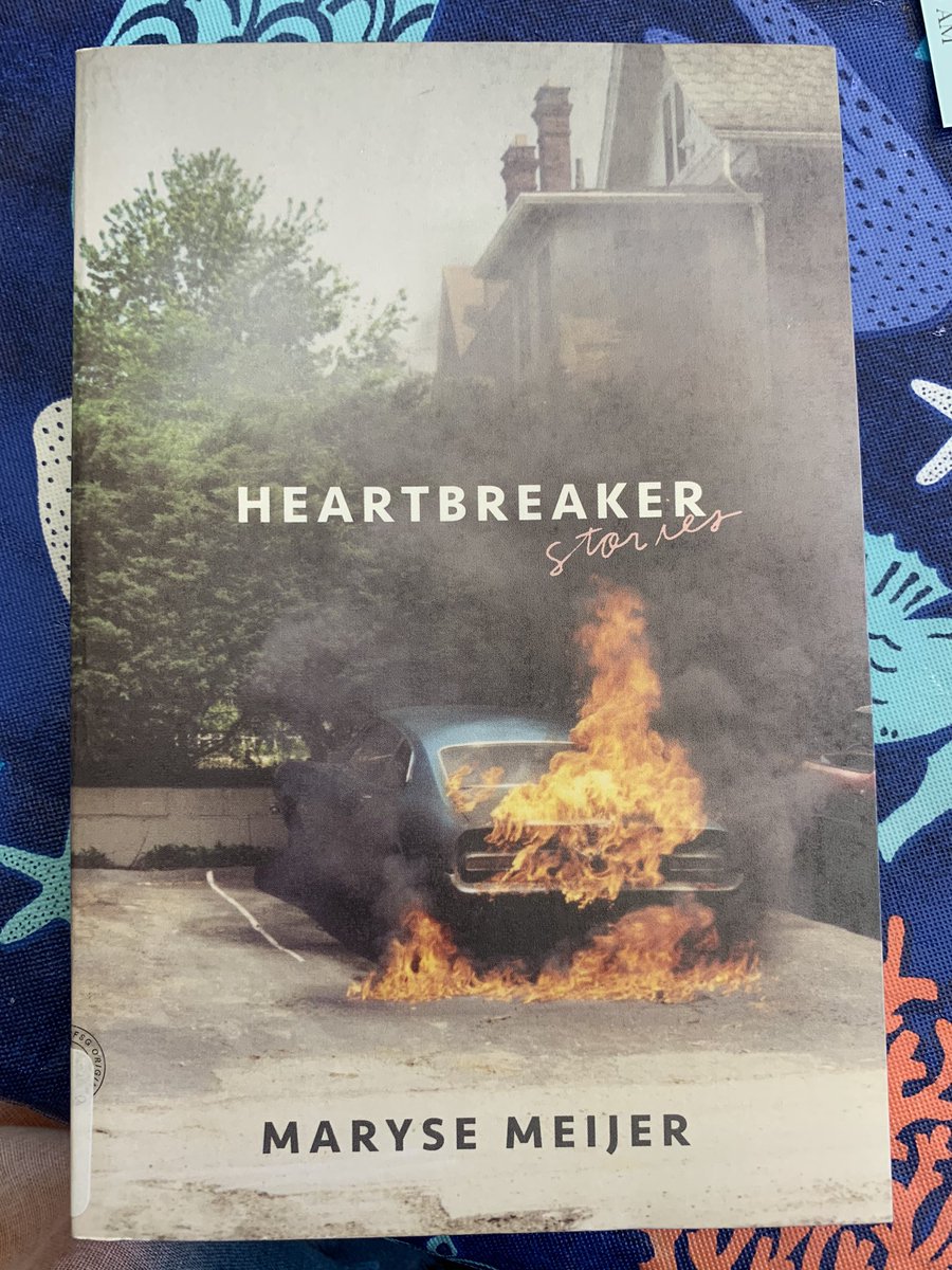 ProofreadingT's tweet image. Can’t wait to start #Heartbreaker by #MaryseMeijer There’s fury, violence, a feral child, a girl raised from the dead and a possible pedophile. Thanks to @DanielDKraus for the suggestion! #SummerReading #books #reading #feralchild #undead #shortstories #horror #creepy