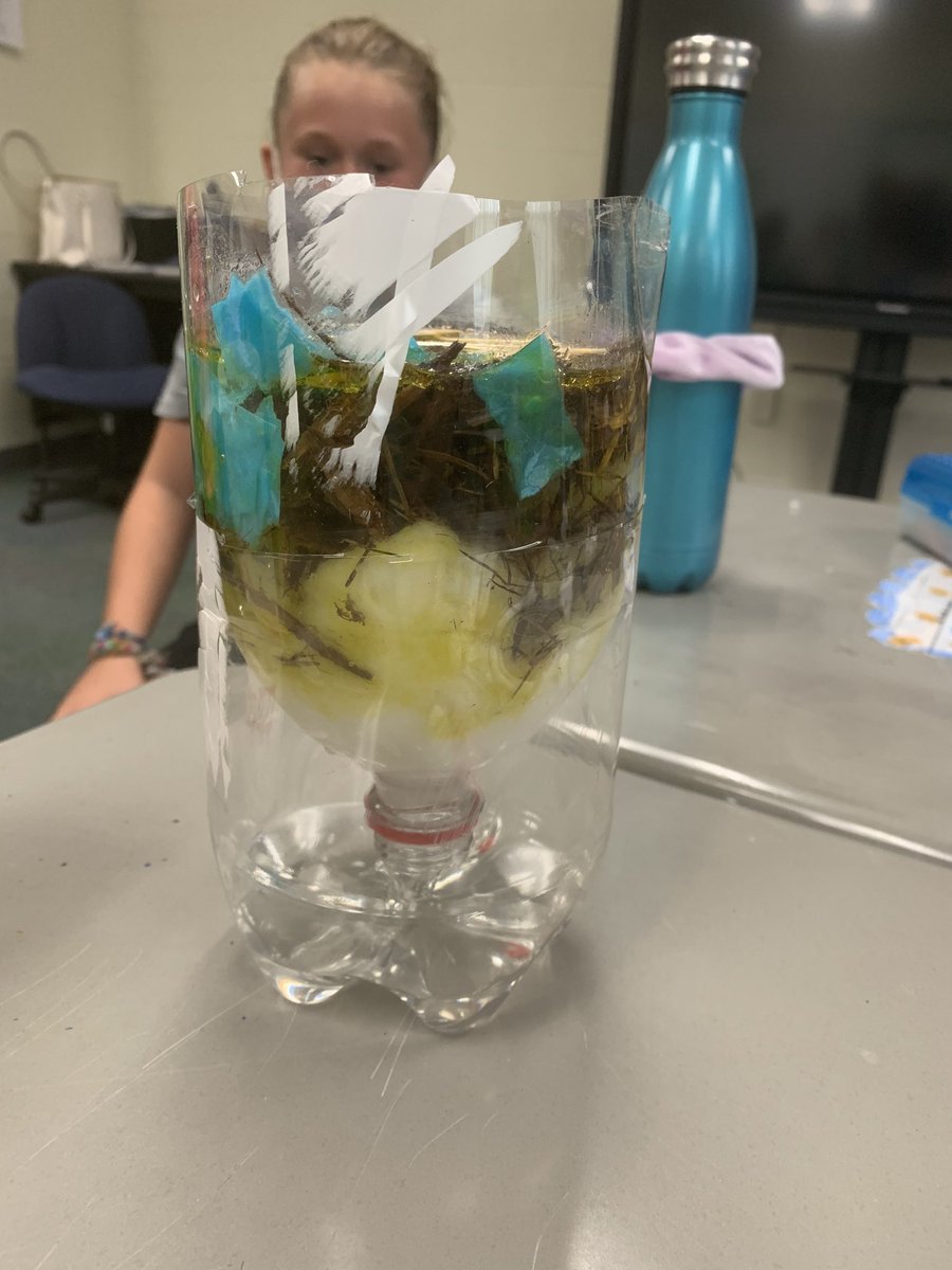 Our Survivor class researched about water purification. To learn more, we created water filters. We mixed water and oil to pour in them, in hope it would come out clean. Students were so excited to see clean water filter through! #GVSOAR2020 #SPsoar2020 <a href="/GV_Schools/">Grain Valley Schools</a> <a href="/JamieJblack/">Jamie Black</a>