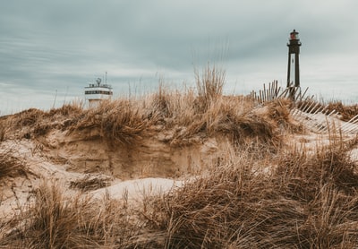 Photo By Kyaw Tun | Unsplash 
 #southwaltonbeach #sandblasting #sand #beachphilippines #floridabeaches