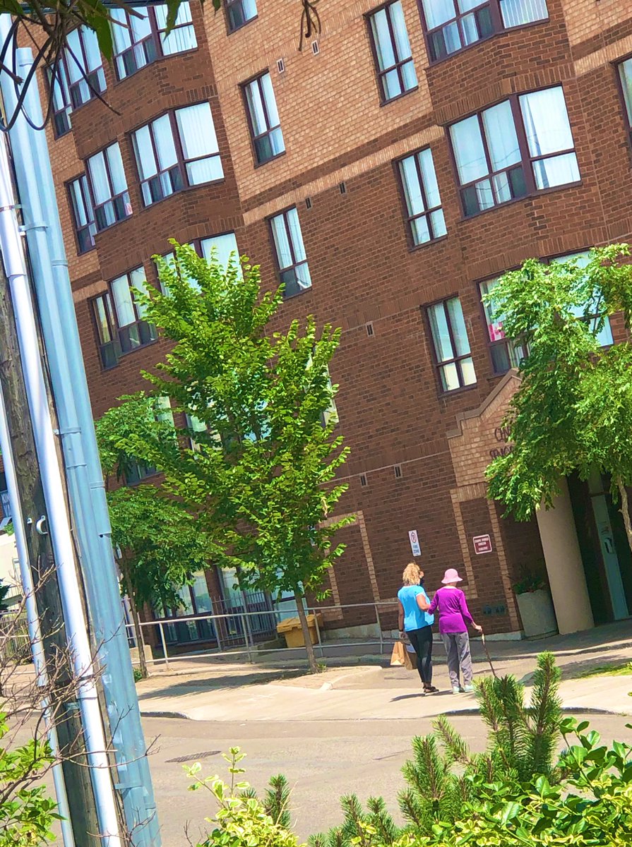 TPLWeston's tweet image. Our staff will always go above and beyond for our customers when we can! 

One of our regulars needed some assistance to cross the street after picking up her holds at curbside. 🥰 

#librariesworkbecausewedo #ysw #weloveourcommunity