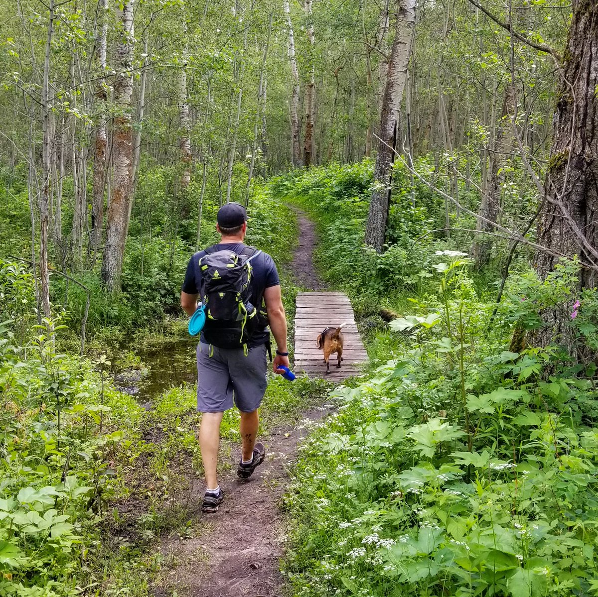 MomsWanderlust's tweet image. A2: We have made the most of it! We did a day trip down the Icefields Parkway (lucky to live so close) and have gone hiking and camping. We are off to Vancouver Island in 2 weeks. No complaints :) #OutdoorBloggers