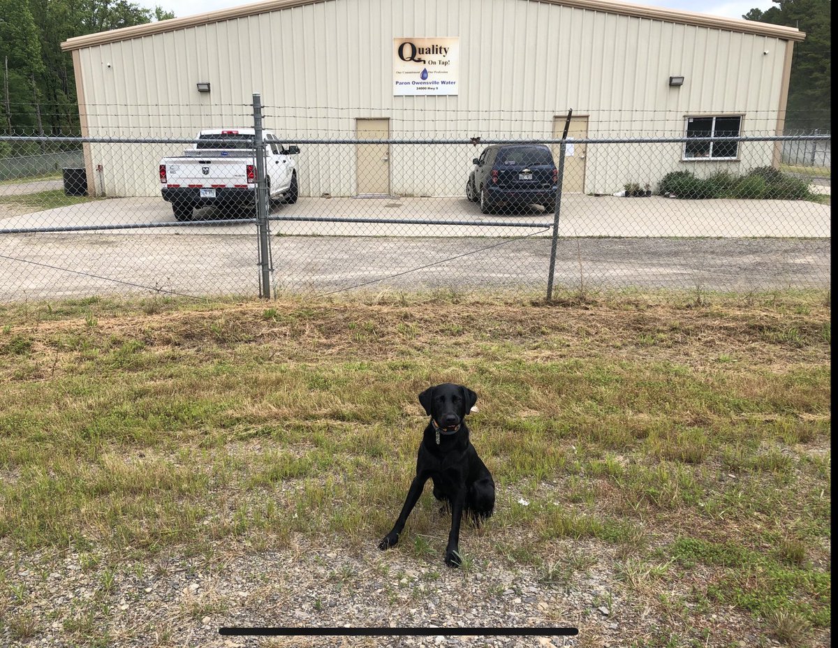 CAWDetectiveDog's tweet photo. Did you know? Central Arkansas Water now serves the Paron area! Welcome to the CAW family, Paron!
#weareCAW πΎ https://t.co/giLNt4aN6D