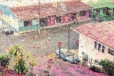 cloudc_'s tweet photo. بركان الزهور - كوستاريكا🌋🌸 https://t.co/NTJixrLfXH