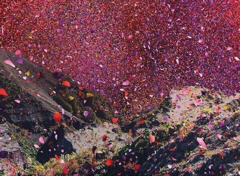 cloudc_'s tweet photo. بركان الزهور - كوستاريكا🌋🌸 https://t.co/NTJixrLfXH