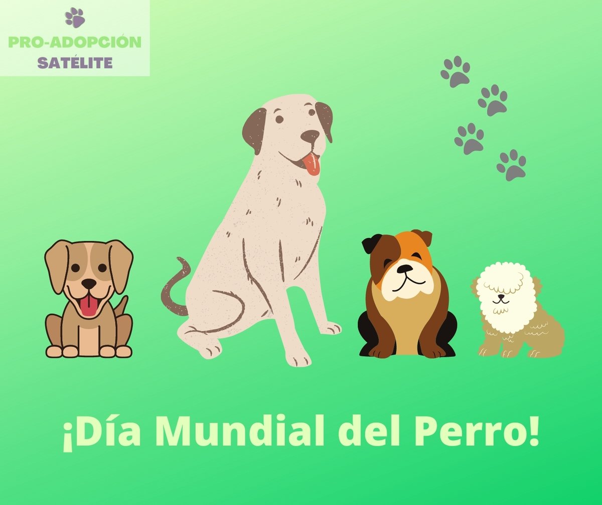 Un reconocimiento a nuestros amigos peludos por siempre ser incondicionales; por ser nuestra gran y amorosa compañía; por el gran servicio que brindan (emocional, de rescate, de asistencia, etcétera).

#DíaMundialDelPerro #DíaDelPerro