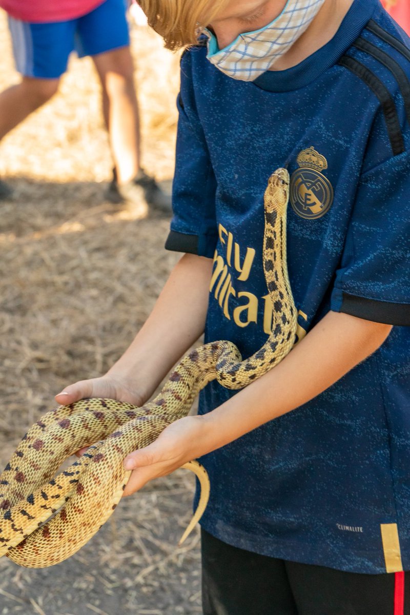 Emily Taylor Rad Moment With My Calpoly Calpolycsm Mask On Display Great Photos By Michael Ens Who Visited The Worldsnakeday Event Here S Another Fave T Co 9nxw2zx6hp