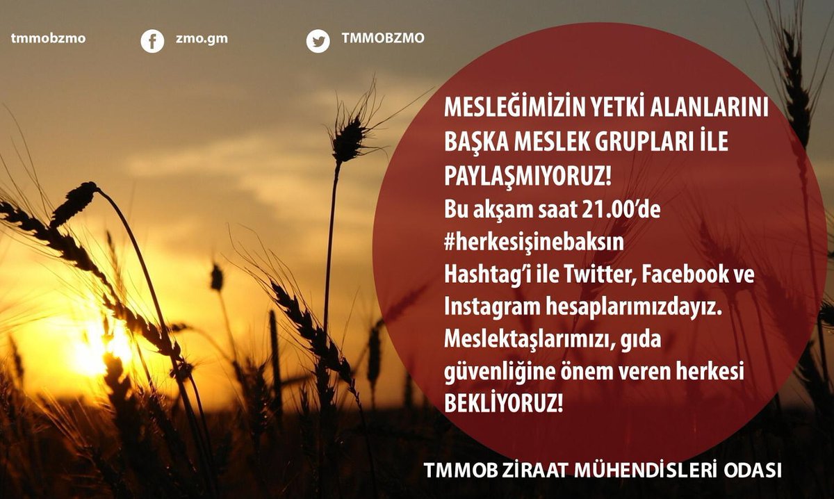 #herkesişinebaksın