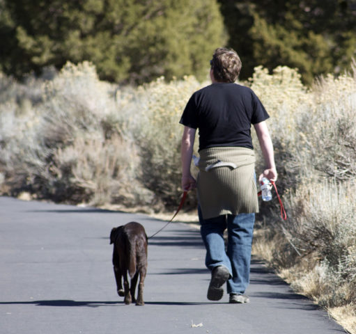 FunHealthTips's tweet image. The Dog Walking Diet - see how much you need to walk your dog to lose weight! bit.ly/3dWWdNZ